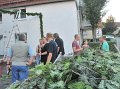Binden am Mittwoch 019